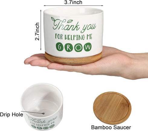 Ceramic Succulent Plant Pot - Teacher Appreciation Gift
